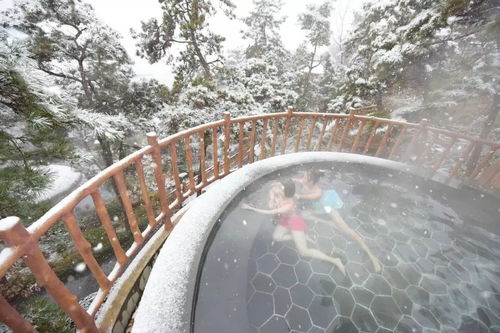 蒙山旅游度假区圆满收官，累计接待游客26.07万人次，实现旅游综合收入1060.29万元