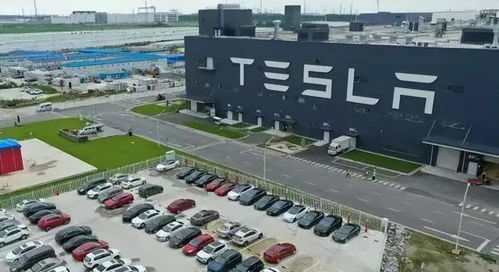 外企就是外企 在特斯拉工厂工作的朋友收入与生活一瞥